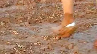 केटी संग ठूलो लूट गडबड.