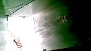 हाँसेल ग्रेटेल: गधा मा एक औंला संग बिल्ली मा कुखुरा.