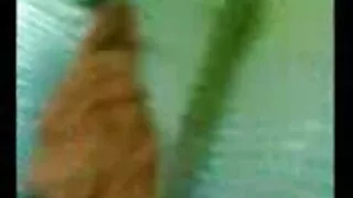 म एक पर्यटक गडबड.