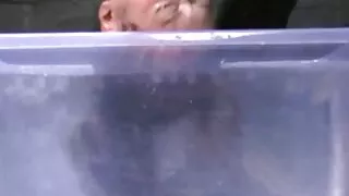 पत्नीको उपहार प्राप्त हुनेछ ।