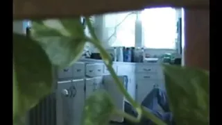 पोलिना मैम