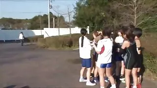 यो गधा मा गडबड प्रवासी.